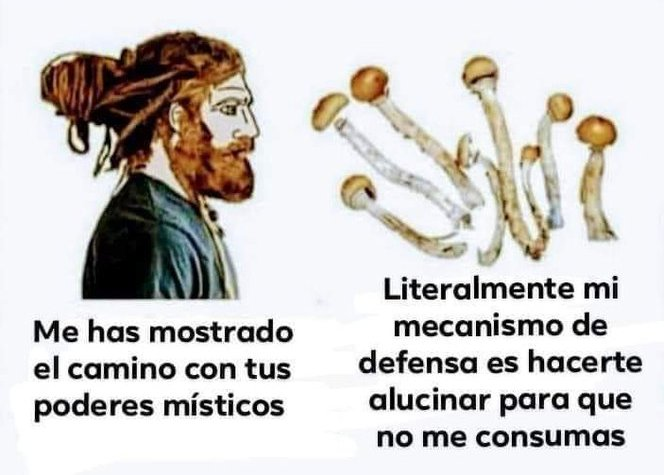 Ismael tweet media