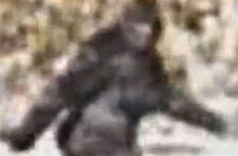 ericzhu's tweet photo. what this post looks like to the apes https://t.co/DWAoA1fl9G