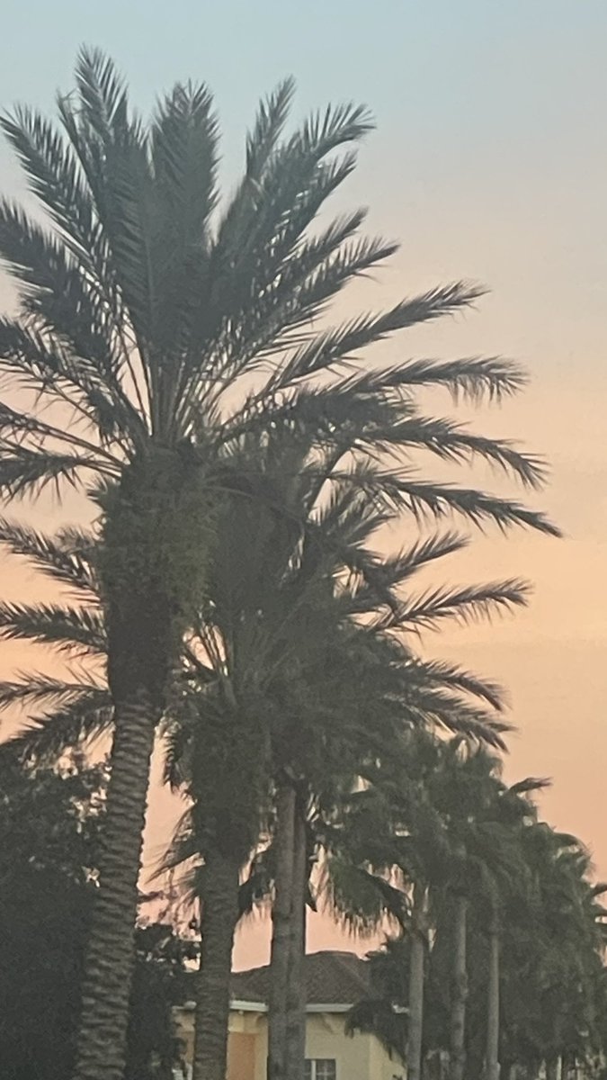 Stephanie Ketty (@stephanieketty) on Twitter photo 