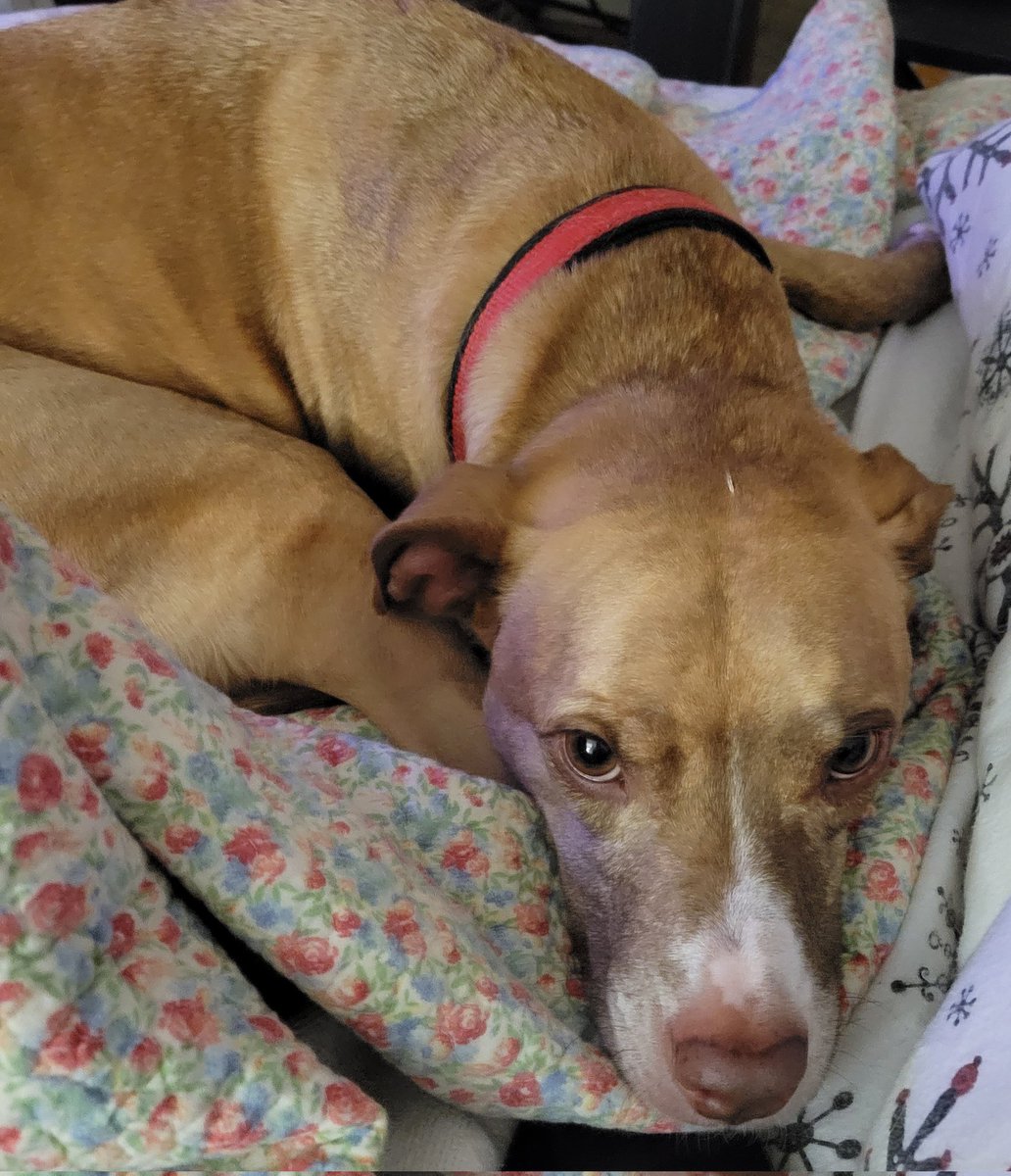 Mom, I'm ready for bed.