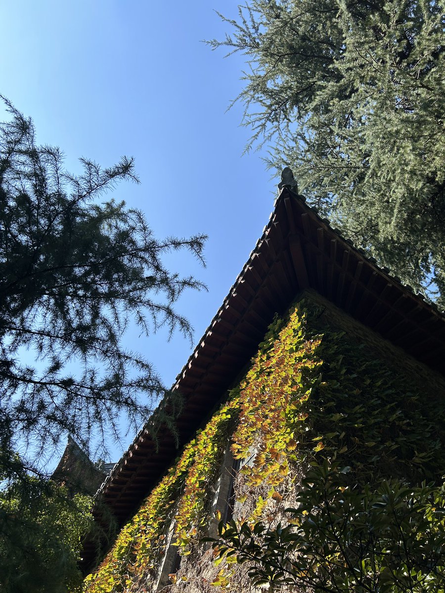 BrandonZhao1997's tweet photo. My last week at Nanjing University🍂(doing fieldwork as a visiting researcher)
Gonna miss the food here🤩老鸭粉丝汤 https://t.co/nARQRHrHk0