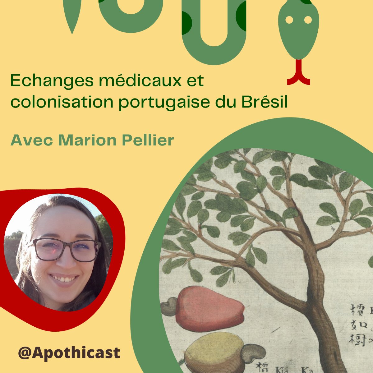 🆕 L'épisode 10 du podcast est en ligne !

"Échanges médicaux et colonisation portugaise du Brésil, avec Marion Pellier"

Un épisode qui s'intéresse à l'imprégnation réciproque des théories et pratiques médicales portugaises et brésiliennes aux XVIe et XVII siècles.
#histmed