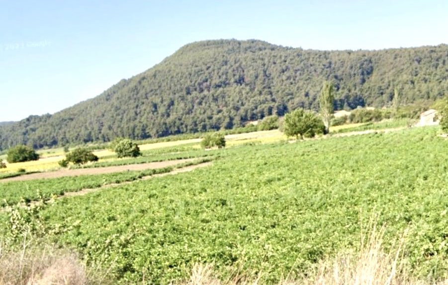 Çanakkale Kara savaşları esnasında cephe gerisinde, Yaralı nakil ve lojistik hizmetleri tüm hızıyla devam etmiştir. Nadir bir fotoğraf olan bu kare, Bugünkü #Eceabat ilçesinin #Yalova köyüne aittir.