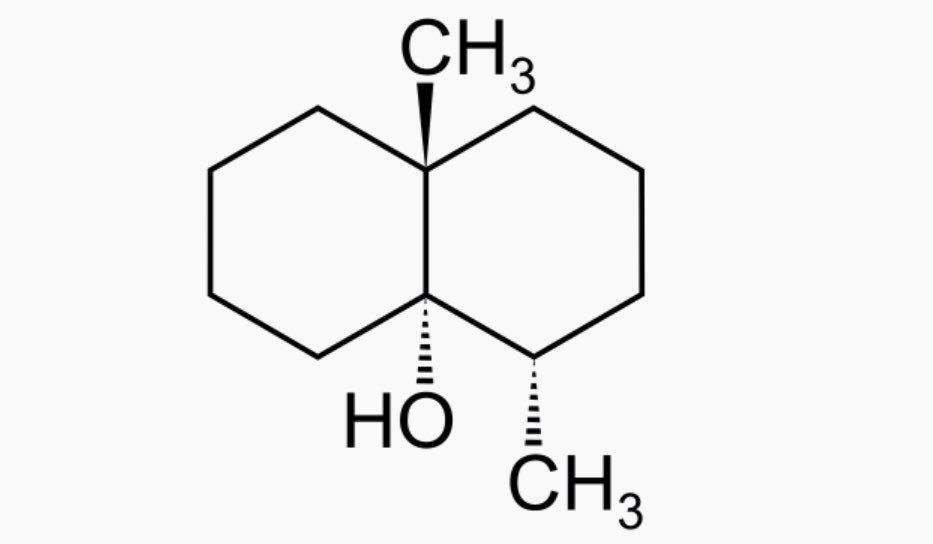 ROBERT S T E L M A C H U K tweet media