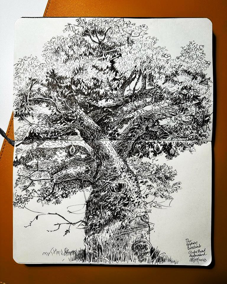 ma_katikati's tweet photo. A lovely detailed sketch of a #baobab tree - a few that are found in Hyderabad. This tree is native to Africa and not found in India much.  #illustration #illustrations #digitalillustration #illustrationartists #illustrationart #illustrationoftheday #illustrationartist #illustration_best #illustrationdaily #illustrationgram #illustrationnow #instaillustration #dailyillustration #inkillustration #best_of_illustrations #moreillustrations #illustrationsketch