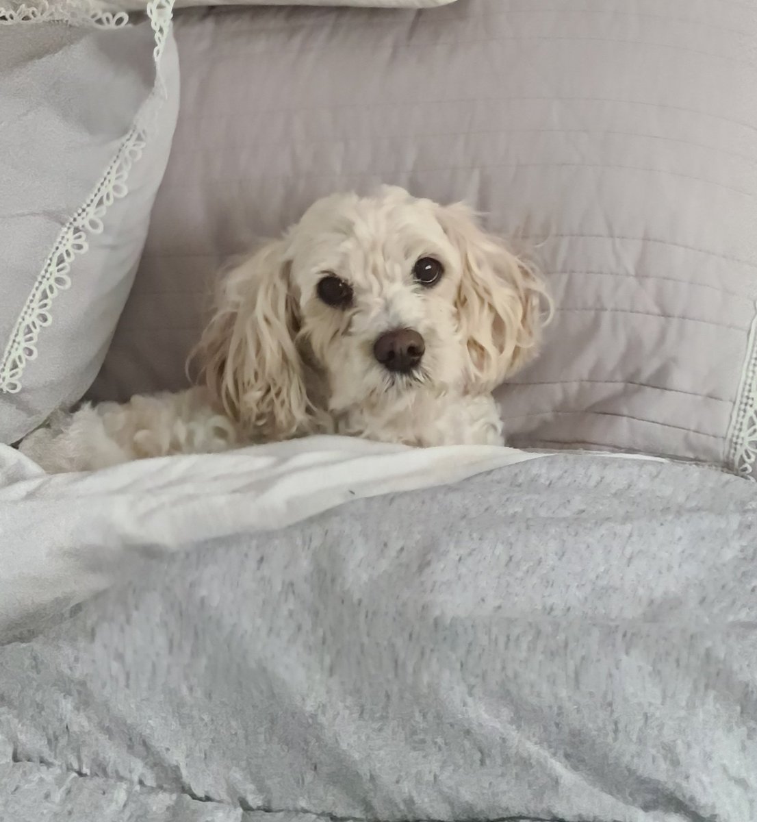 In ❤ with Nature tweet media