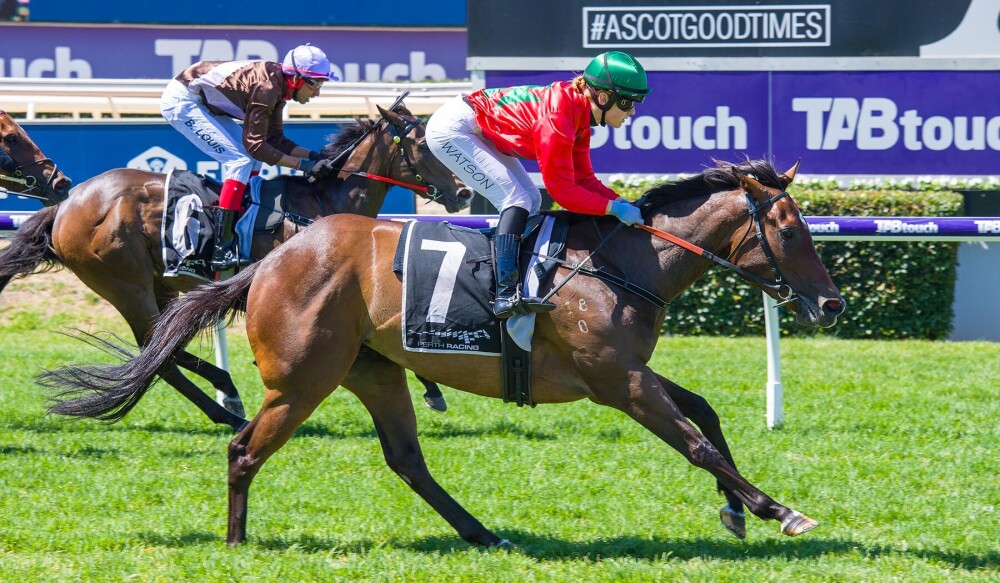 Holly Watson with the early double! CHER (Holly Watson) Won R4 Bisley Workwear Handicap on Tuesday 7 November at Ascot Racecourse. 📸 @WesternRacepix