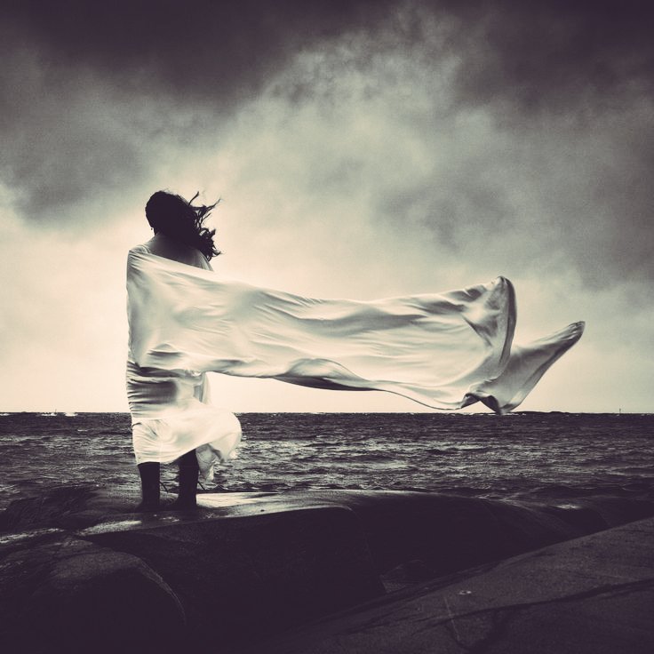 Wildflower2107's tweet image. And
The fodder 
Every cloud provides
Has a story to tell ~
Of those lost
Pages of poetry
Left blank
Deliberately

#vss365 #fodder
PC: Pinterest