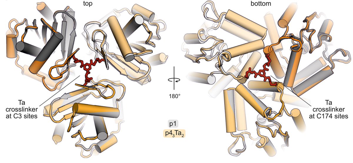 Grossmann Lab tweet media