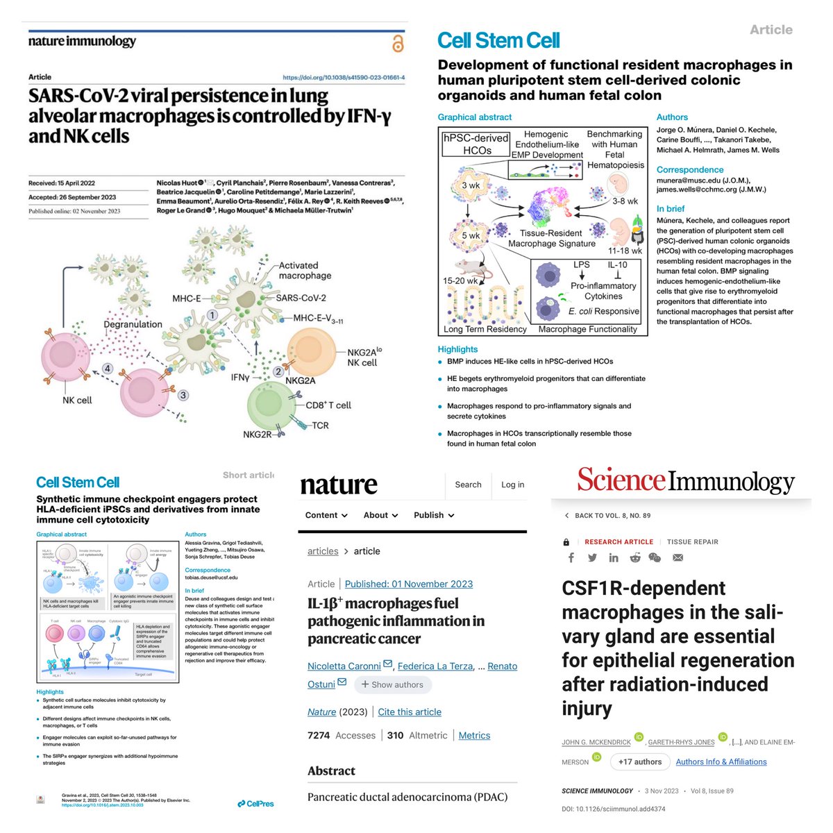 Wow! #November belongs to the mighty MACROPHAGES!! And it not even a week yet! @NatImmunol @CellStemCell @Nature @SciImmunology and many more! #innate #Immunology