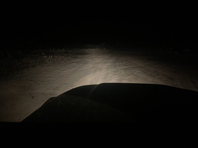 I almost hit deer 3 separate times tonight. On the road I live on. Really need better headlights. This