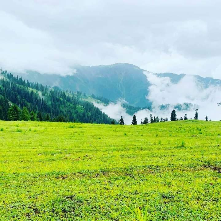 LifeLensScape's tweet photo. Step into a world of endless green and endless wonder at Paye Meadows. Mother Nature's masterpiece awaits.
📸 @oxygen_khan
#Pakistan #PayeMeadows #SunrisewithAdeel https://t.co/PUE2ghv6ap