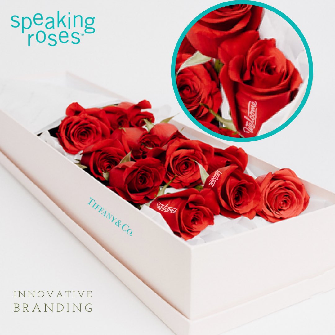 Speakingroses's tweet photo. More than a brand – a symphony of experiences.
#investnow #speakingroses 

https://t.co/yf4CgOueam

#PersonalizedPrinting #CustomizedRoses 

#Giftspeakingroses #askforfranchisee 
#ideaofperfection

We love to see you to be a part of the Speaking Roses global family. https://t.co/U6IumaeqqN