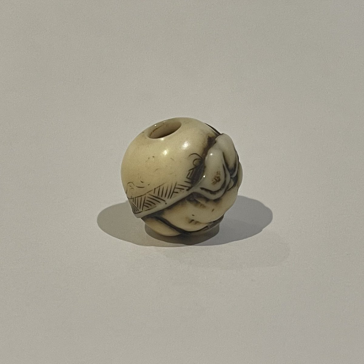 GTB_sword's tweet photo. “象図時代緒締”

鯨歯刻（whale tooth）
19世紀中頃
背中に飾り布を掛けた特別な意味を持つ象の姿が彫り込まれた緒締です。
鯨の歯の材料の作品はつややかで魅力的です。
#象 #緒締 #鯨歯 #つややか #着物 #侍 #Elephant #Ojime #Whaletooth #shiny #slippery #Kimono #samurai https://t.co/f8qsRsIOhb