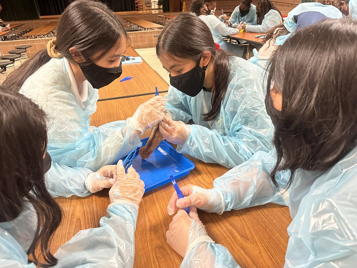 MsOnFire2Nspir3's tweet photo. It was dissection day for @AlbrightMS! What an amazing day of exploration! We have more careers to explore, get ready! Thank you, @ChiquitaEstavan and @FSAACADEMYGRIND for the opportunity to pour into our future! #OnFireToInspire #CodingWithATwist https://t.co/hnRSNzLT1R