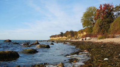 protectbaltic's tweet image. 🌊 We’ve gone live with our brand new website for #ProtectBaltic (protectbaltic.eu) – the most ambitious protection project in @HELCOM’s history. Explore the new site, follow and join us as we aim to secure a healthier and resilient Baltic Sea for future generations. 🌏💙