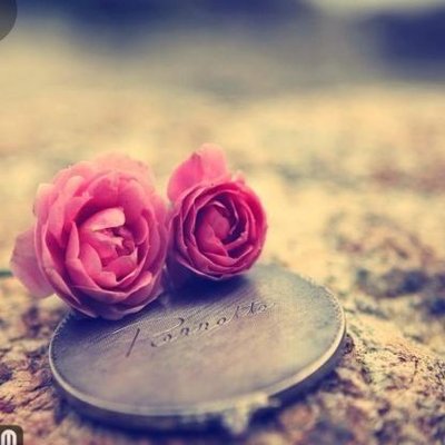 Zaira Tournoud tweet media