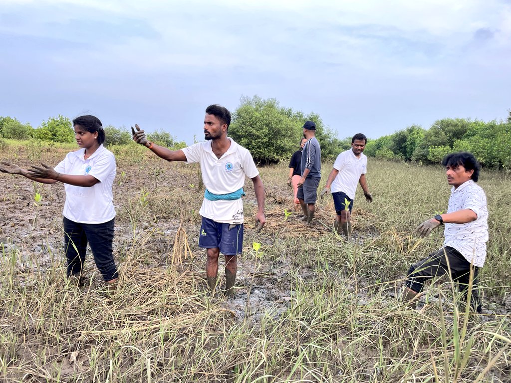 Preserving mangrove forests at Devi River is a crucial environmental effort. Working together for their preservation is a commendable initiative. These ecosystems play a vital role in supporting biodiversity and protecting coastal areas. 🌱🌊🐟
#deviriver
#mangrove
