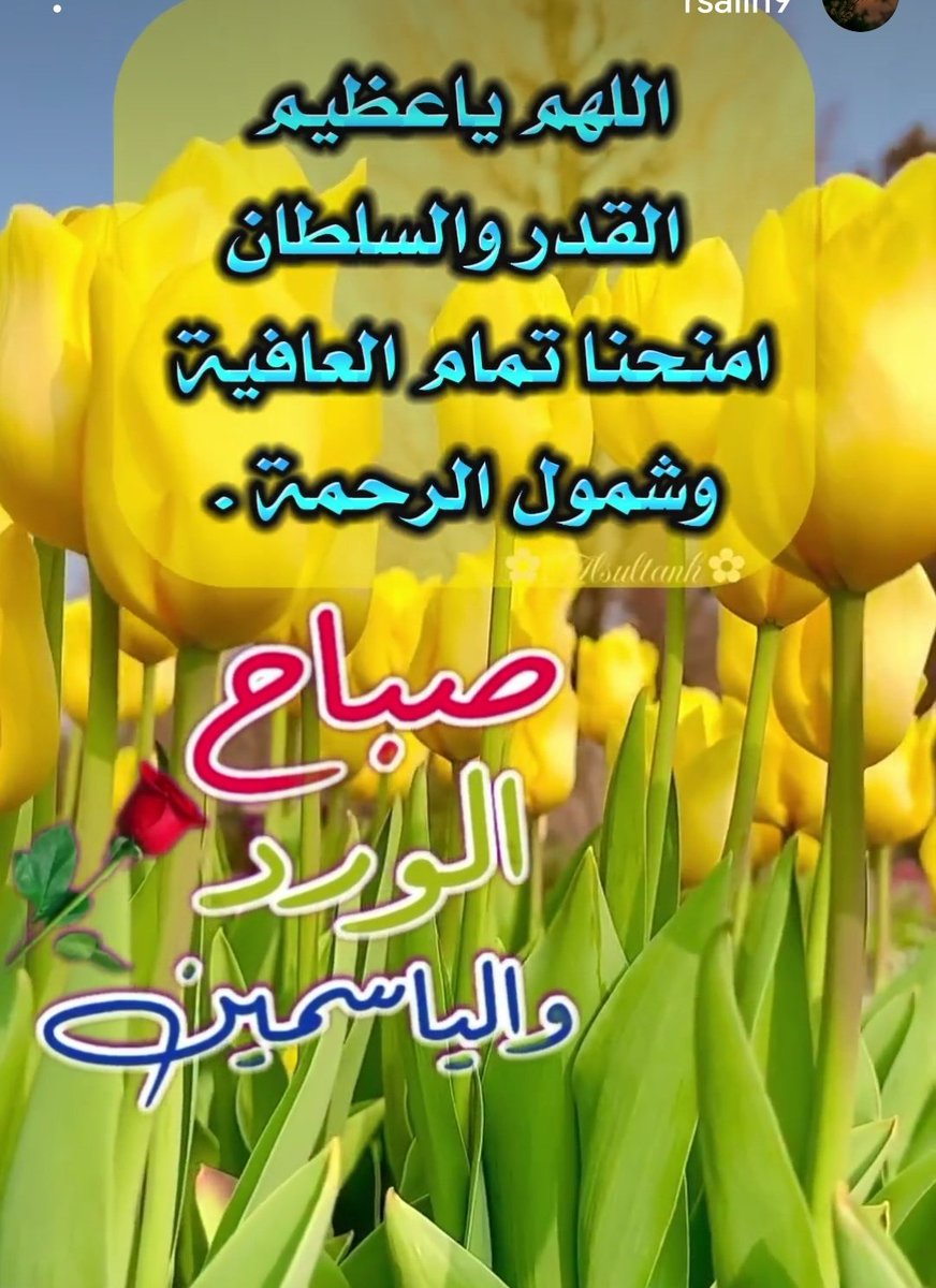 ابو حسن ❤👑🌹🌷🥀💐🌸🐠🐬 tweet media
