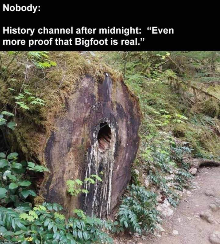 <a href="/DougSummersis/">Doug Summers</a> Ewww, Squach!!