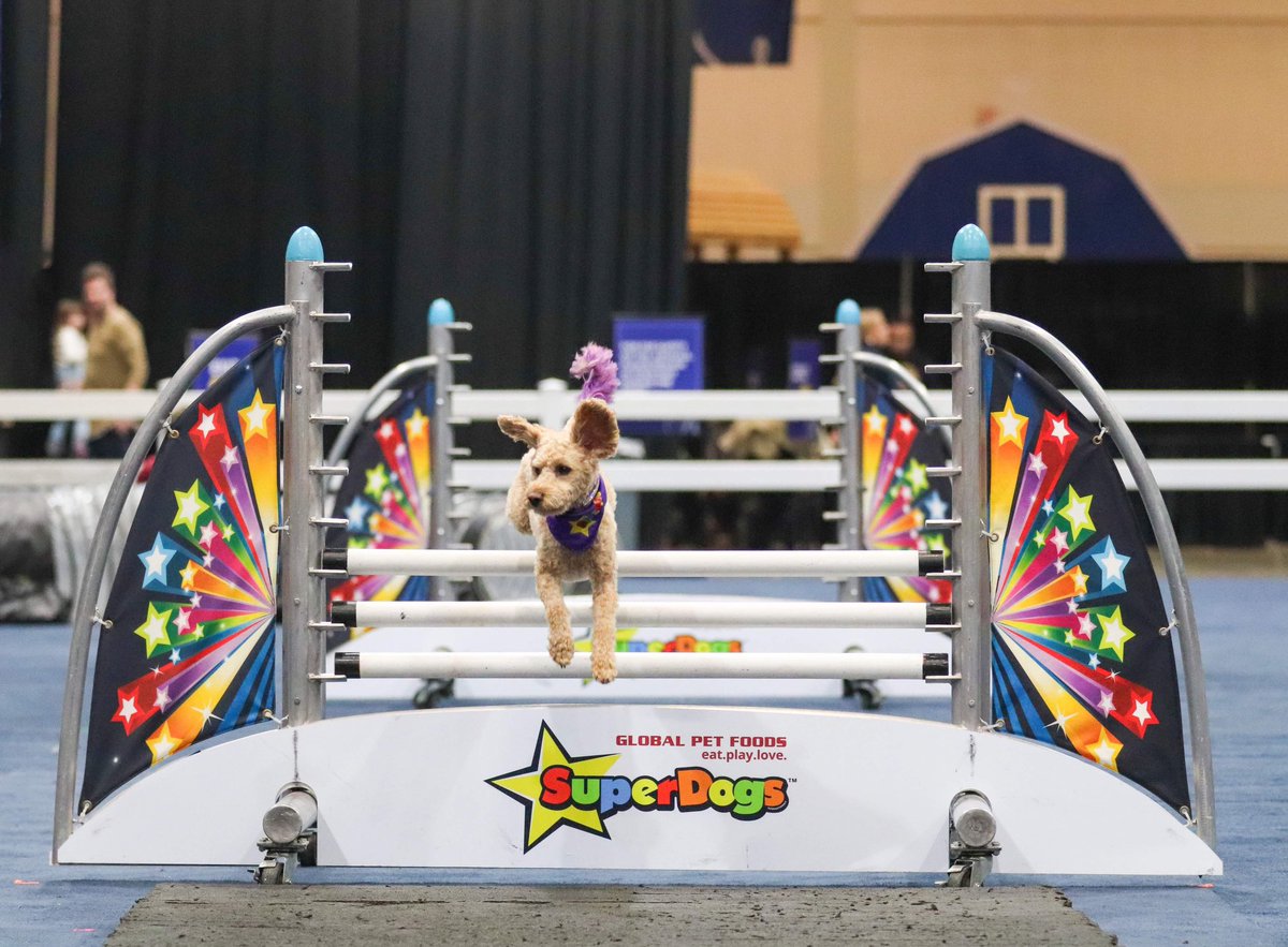 Emma Dailey tweet media