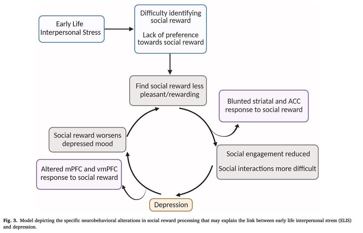 Amazing new review from X-less Esther Palacios-Barrios!!!! 
"Early life interpersonal stress and depression: Social reward processing as a potential mediator"
sciencedirect.com/science/articl…

Please share far and wide #RT