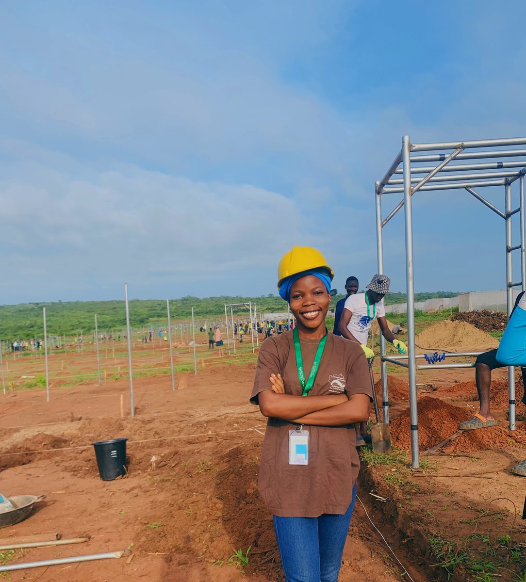 anu_akanbi's tweet photo. Hey fellow agriculturists! 

Did you know that agriculture isn't just about farming? You can also build your own greenhouse! It's a cost-effective way to grow crops and even offer services to others. So don't limit yourself to traditional tools. 🌱🏗️

#eyiaunique
#thetechfarmer https://t.co/NOLftWwisc