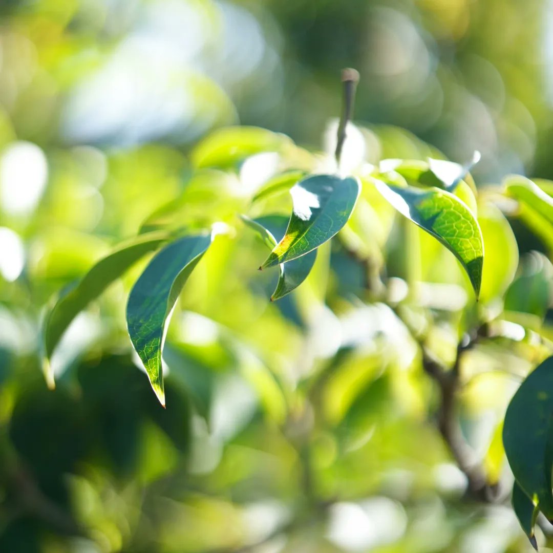 soba047's tweet photo. SONY、50mmf1.4GMいいね〜、撮っていて楽しい単焦点レンズ。

#50mmf14gm https://t.co/nB9uKkmLEo
