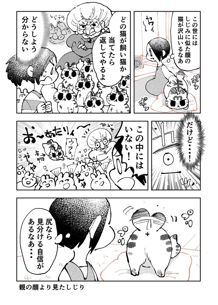 3本足のしじみちゃん211