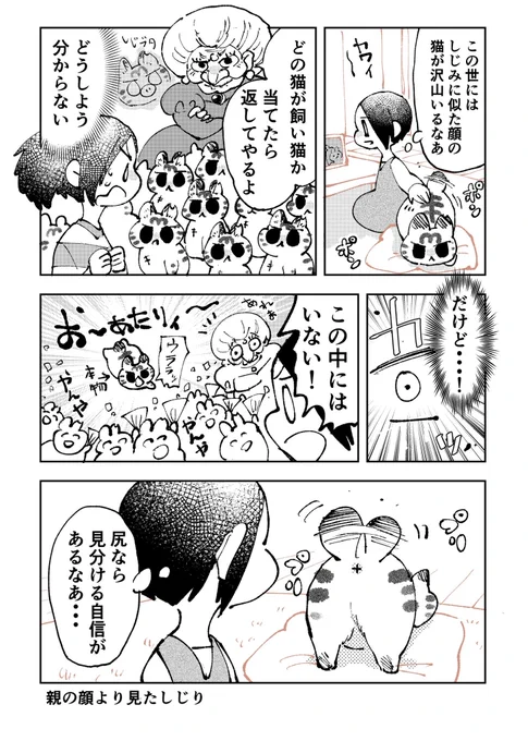 3本足のしじみちゃん211