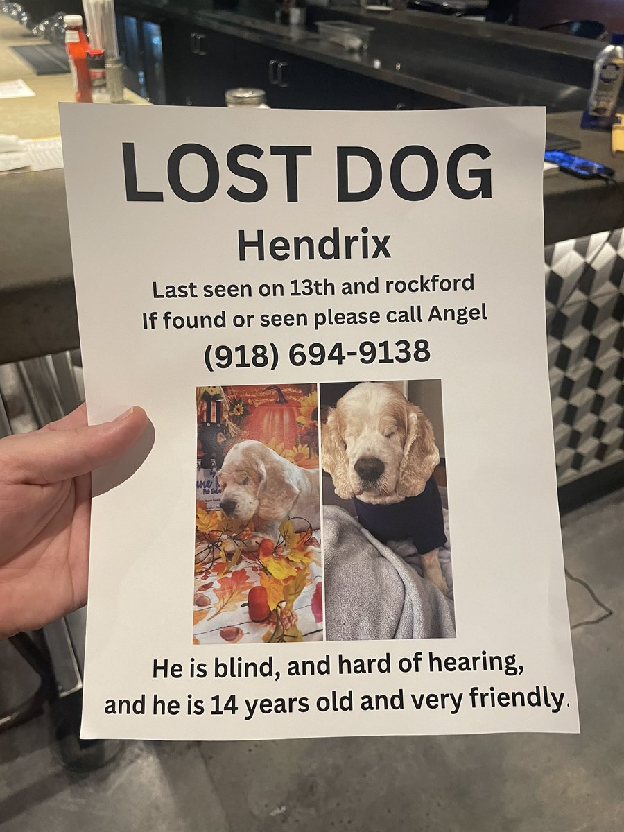 Shmal__'s tweet image. TULSA!!! Please retweet! His owner is so lost without her baby! 😭😭😭