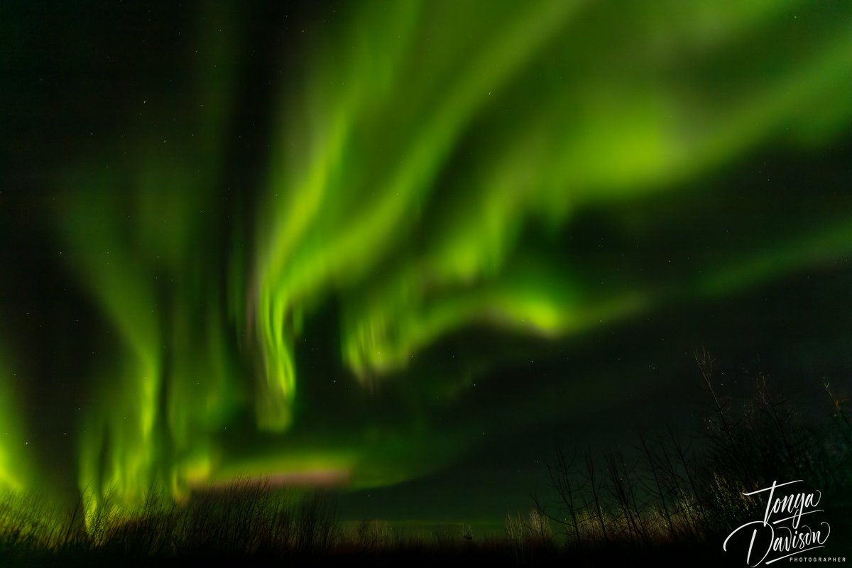 TonyaDavisPhoto's tweet photo. The lights where amazing last night. This is Saddle Hills Alberta. I work in the area and mother nature did not disappoint. @CTVNews @GlobalEdmonton @CBCNews @saddlehillsab @TravelAlberta https://t.co/mFrn4OVIfN