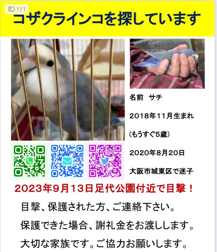 momocoto's tweet photo. 2023年9月13日
#東大阪市 の #足代公園 で 
サチに似た鳥が目撃されました

自宅から5キロの場所です
サチかはまだわからないけど
似ています

目撃、保護された方はご連絡お願いします🙏

#迷子インコ #迷子鳥 #迷子コザクラインコ #関西全域 
#日本全域 #京都 #兵庫 #奈良 #滋賀県 #拡散希望 https://t.co/SWSsZGYg1t