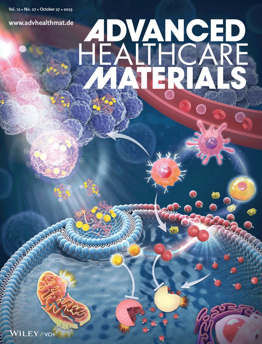 two cover stories on our photoreponsive PAMAM-based nanosystems for delivering proteins and small molecules (PCT Patent No. PCT/CN2022/097804) doi.org/10.1007/s12274… doi.org/10.1002/adhm.2…