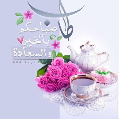 aleyna yenioqlu tweet media