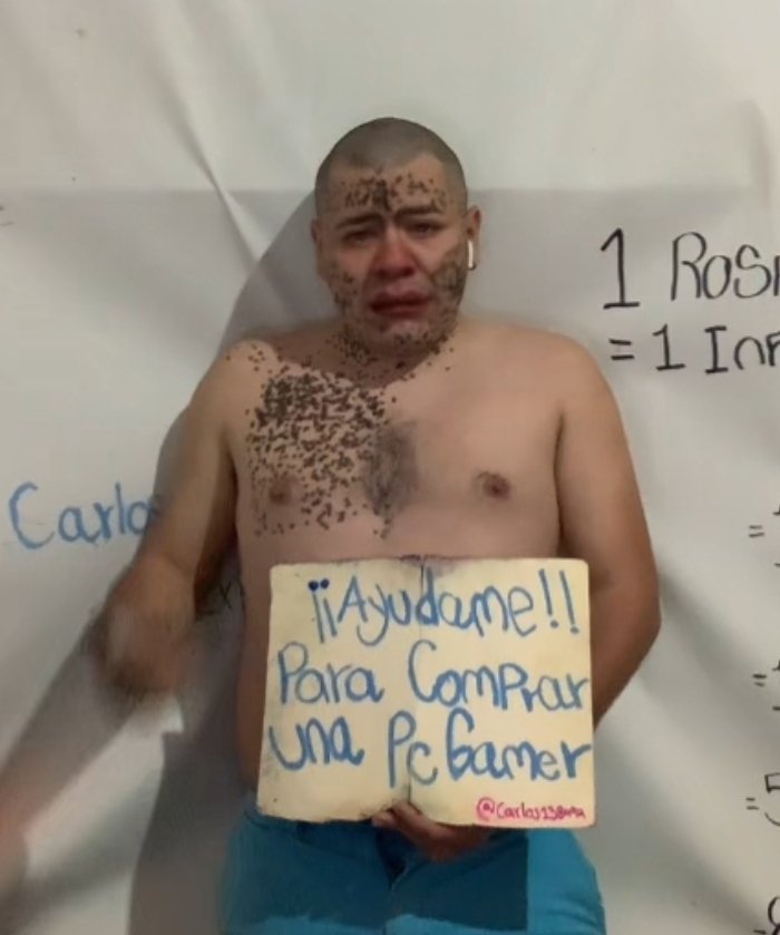 Daniel Capistran tweet media