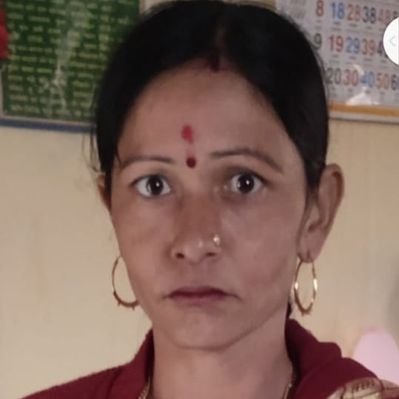 bilge tekin tweet media