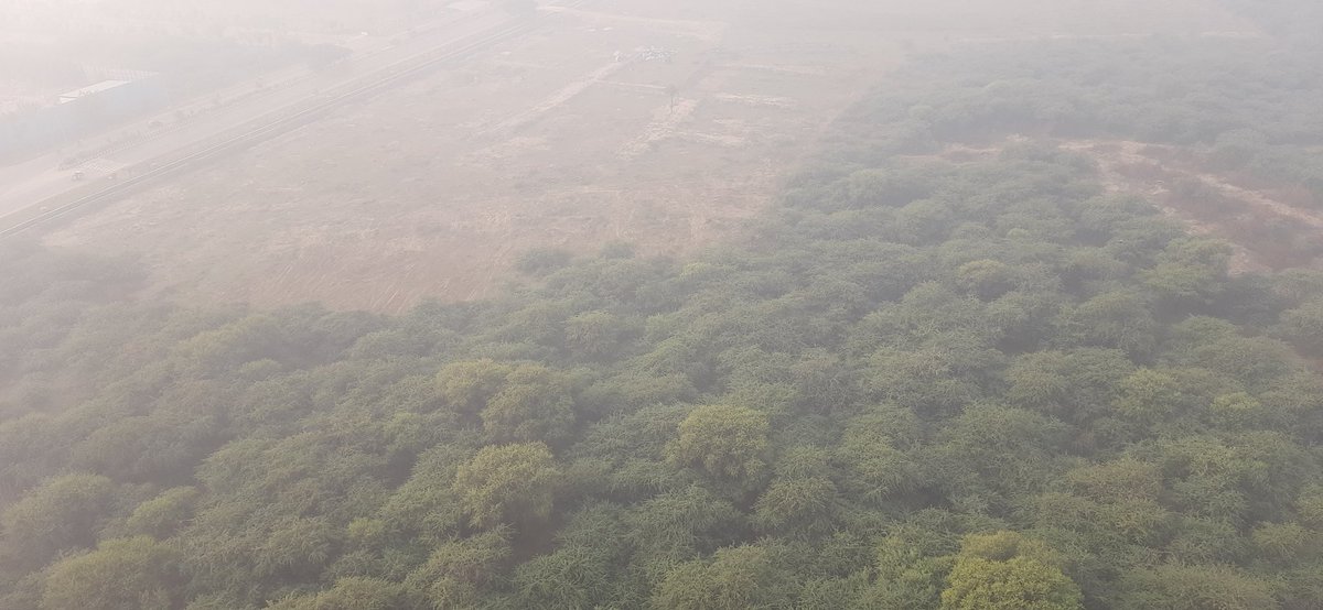 @noida_police @noida_authority @CeoNoida @PMOIndia @NGTribunal @UpforestUp @moefcc @narendramodi @PankajSinghBJP @TOINoida @HTNoidaGzb 
Illegal tree cutting on Disputed sector 79 #sportscity land being repeatedly reported by residents. But no action by authority.
#aakhirkabtak