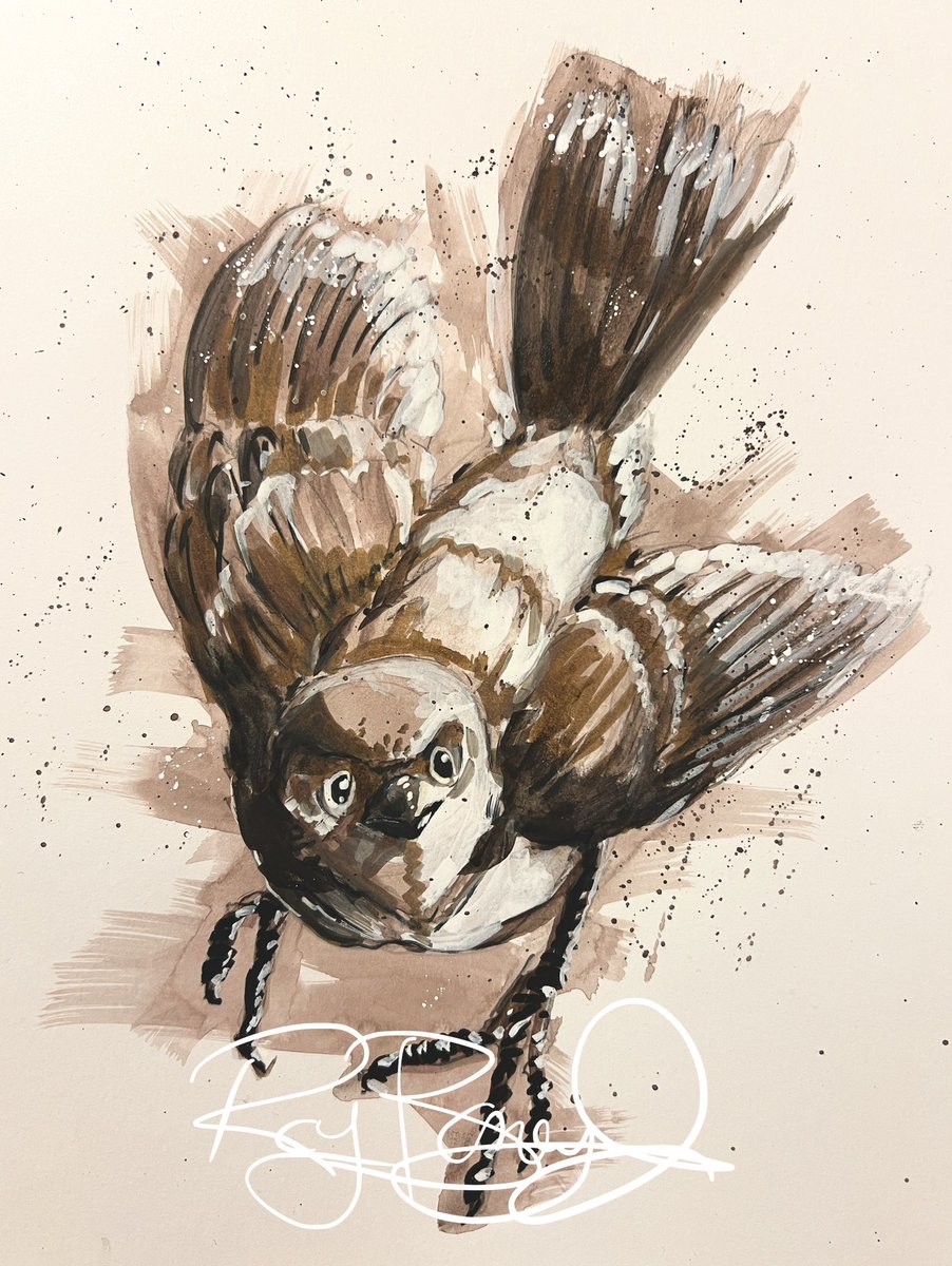 ᎧᏂᎦ Roy Boney ᎪᎳᎭ tweet media