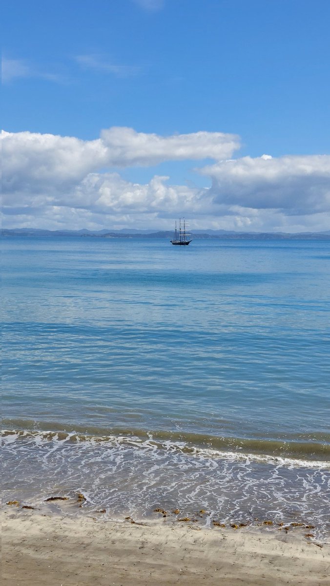 TourExotico's tweet photo. Blue ocean everywhere 🩵🩵🩵
#Paradise #NewZealand https://t.co/AWYsOtO2E1