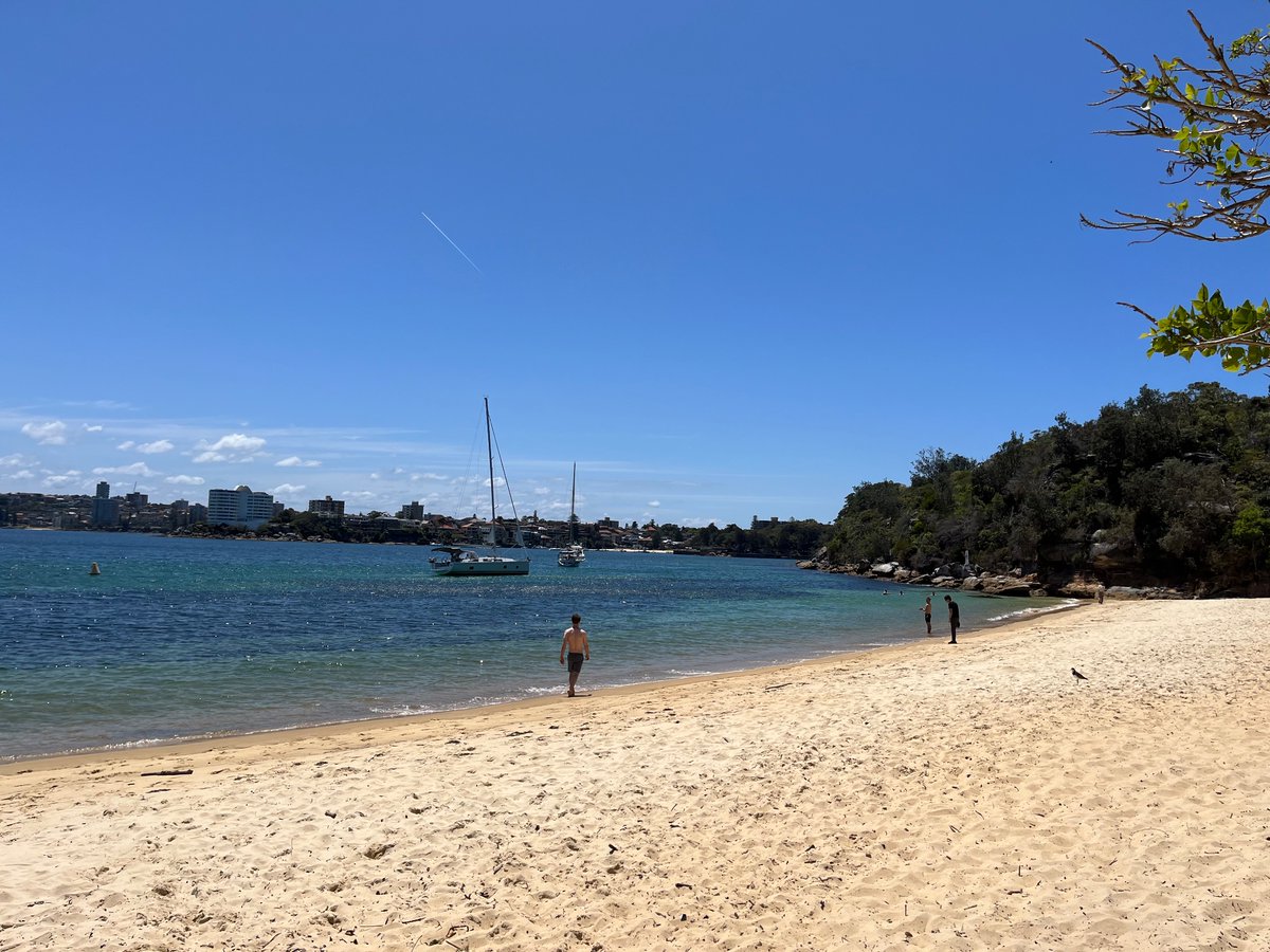 DomJWilliamson's tweet photo. The obligatory lunchtime swim at our own beach.
#TOPO2023 https://t.co/T4nZW4PqB1