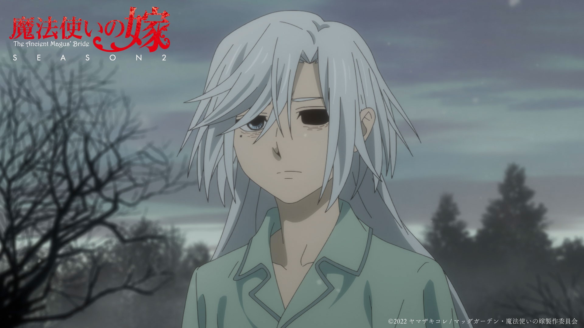 魔法使いの嫁 まほよめ アニメカウントダウンイラスト ポストカード7枚 TVアニメ『魔法使いの嫁 SEASON2』2023年4月より放送決定