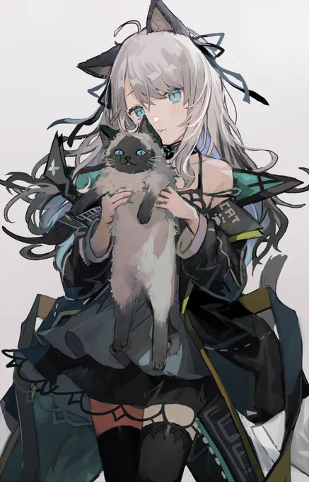 ミ