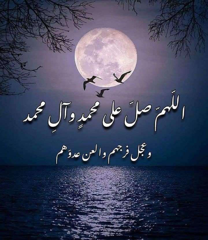 Syed AghaAli Moosavi tweet media