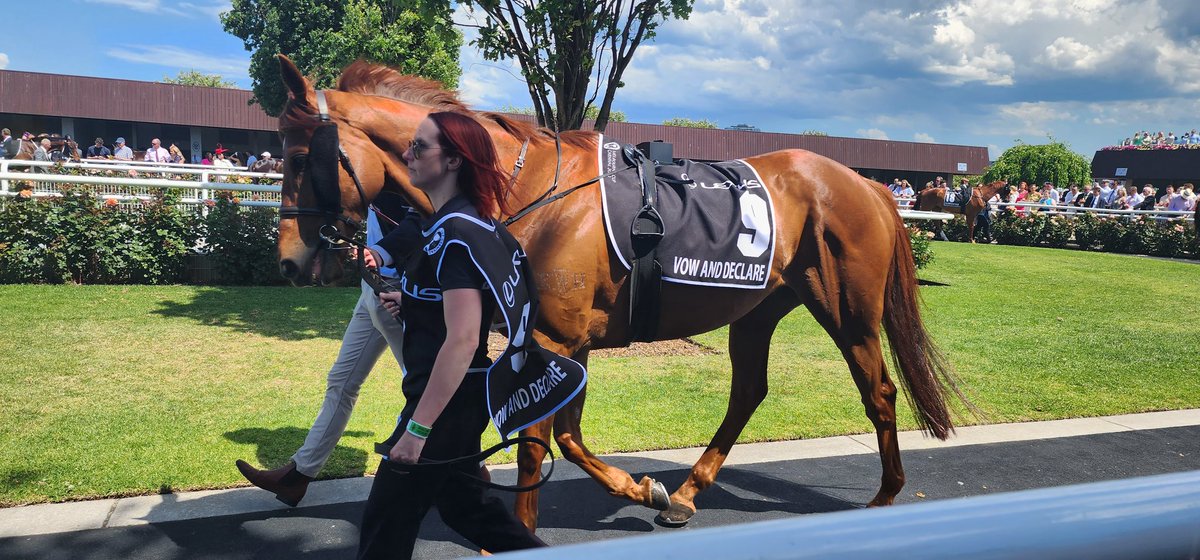 Kristen Manning (@racingpedigrees) on Twitter photo 