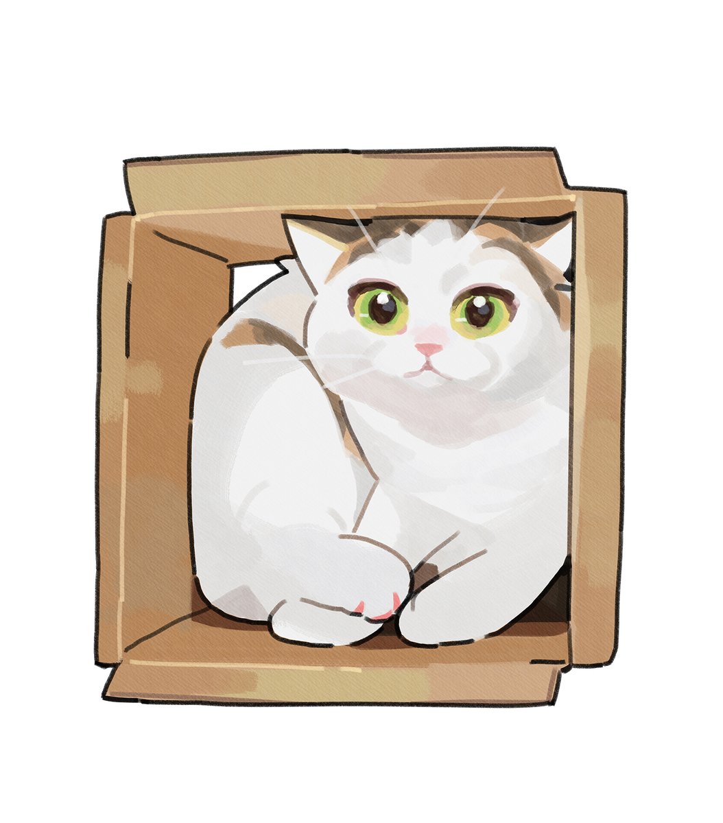 cat in container animal focus no humans in box box white background  illustration images