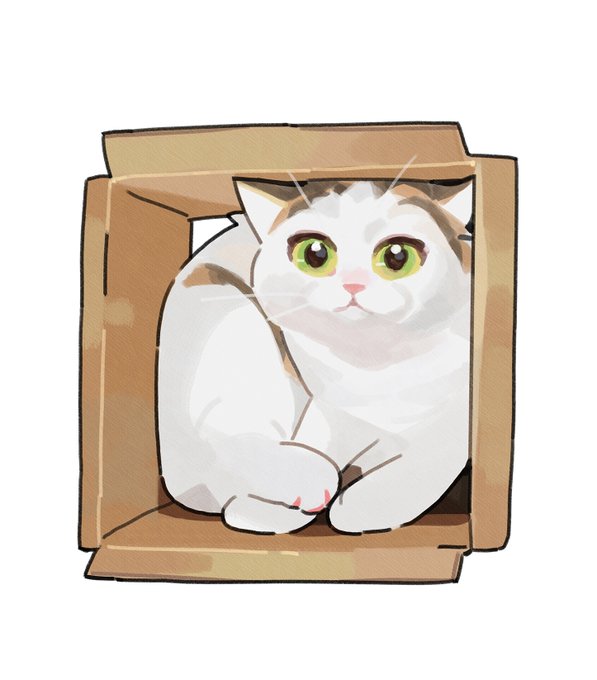 「座る 白い猫」のTwitter画像/イラスト(新着)｜2ページ目