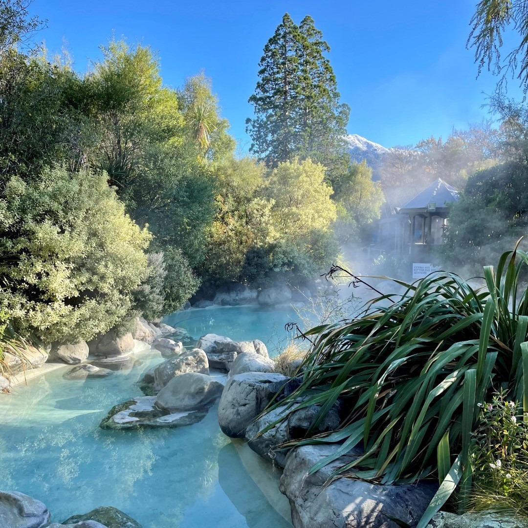 New Zealand 🇳🇿 tweet media
