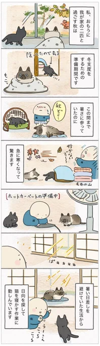 もう毛布が必要な季節?過ごしやすい秋に潜む冬へのカウントダウン【連載】ねこ連れ草 296話め|ねこのきもちWEB MAGAZINE https://t.co/nki6XC5cuH 