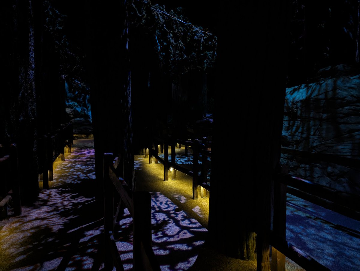 Gavin Fox tweet media